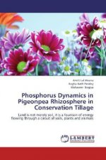 Phosphorus Dynamics in Pigeonpea Rhizosphere in Conservation Tillage