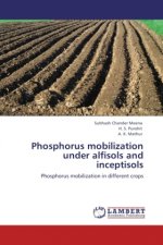 Phosphorus mobilization under alfisols and inceptisols