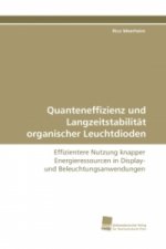 Quanteneffizienz und Langzeitstabilität organischer Leuchtdioden