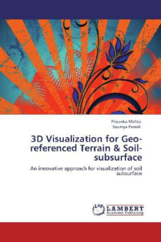3D Visualization for Geo-referenced Terrain & Soil-subsurface