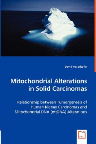 Mitochondrial Alterations in Solid Carcinomas