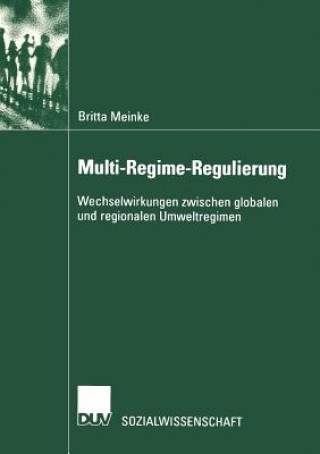Multi-Regime-Regulierung