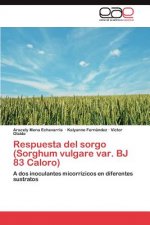 Respuesta del sorgo (Sorghum vulgare var. BJ 83 Caloro)