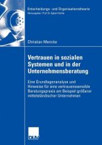 Vertrauen in Sozialen Systemen und in der Unternehmensberatung