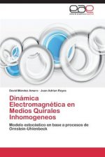 Dinamica Electromagnetica en Medios Quirales Inhomogeneos