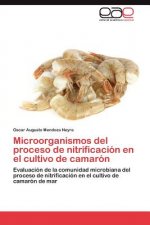 Microorganismos del proceso de nitrificacion en el cultivo de camaron