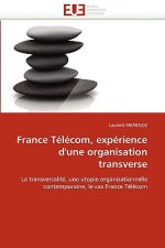 France T l com, Exp rience d''une Organisation Transverse