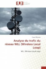 Analyse du trafic du réseau WLL (Wireless Local Loop)