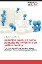 accion colectiva como elemento de incidencia en politica publica