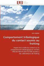 Comportement Tribologique Du Contact Soumis Au Fretting