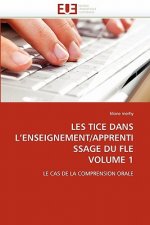 Les Tice Dans l''enseignement/Apprentissage Du Fle Volume 1