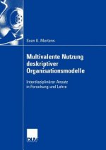 Multivalente Nutzung Deskriptiver Organisationsmodelle