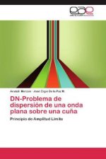 DN-Problema de dispersión de una onda plana sobre una cuña