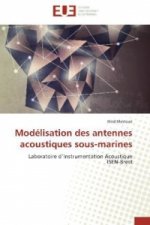 Modélisation des antennes acoustiques sous-marines