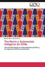 Territorio y Autonomia Indigena en Chile