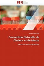 Convection Naturelle de Chaleur Et de Masse