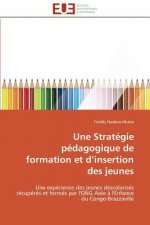 Une Strat gie P dagogique de Formation Et D Insertion Des Jeunes