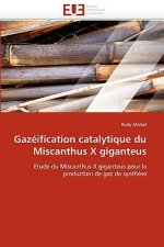 Gaz ification Catalytique Du Miscanthus X Giganteus