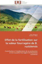Effet de la Fertilisation Sur La Valeur Fourrag re de B. Ruziziensis
