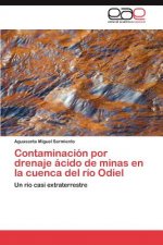 Contaminacion por drenaje acido de minas en la cuenca del rio Odiel