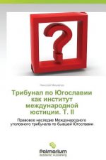 Tribunal Po Yugoslavii Kak Institut Mezhdunarodnoy Yustitsii. T. II