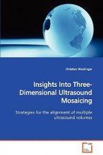 Insights Into Three-Dimensional Ultrasound Mosaicing Strategies for the alignment of multiple ultrasound volumes