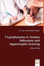 T-Lymphocytes in Tendon Adhesions and Hypertrophic Scarring