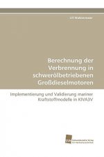 Berechnung Der Verbrennung in Schwerolbetriebenen Grossdieselmotoren