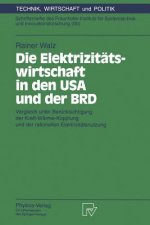Die Elektriziteatswirtschaft in Den USA Und Der BRD