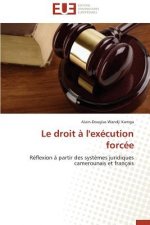 Droit   l'Ex cution Forc e