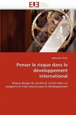Penser le risque dans le developpement international