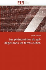 Les Ph nom nes de Gel-D gel Dans Les Terres Cuites.