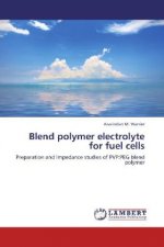 Blend polymer electrolyte for fuel cells