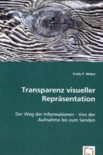 Transparenz visueller Repräsentation