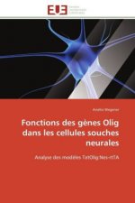 Fonctions des gènes Olig dans les cellules souches neurales