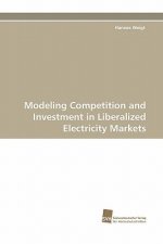 Modeling Competition and Investment in Liberalized Electricity Markets