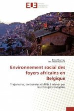 Environnement social des foyers africains en Belgique
