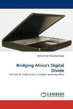 Bridging Africa's Digital Divide