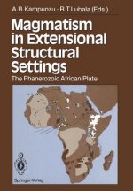 Magmatism in Extensional Structural Settings