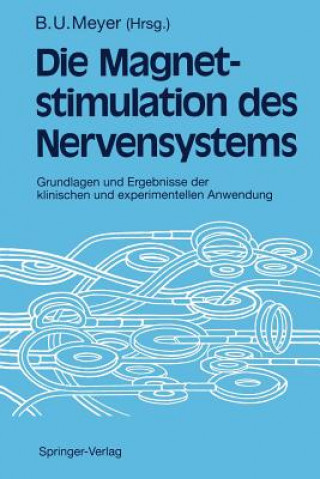 Magnetstimulation des Nervensystems