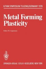 Metal Forming Plasticity