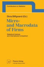 Micro- and Macrodata of Firms