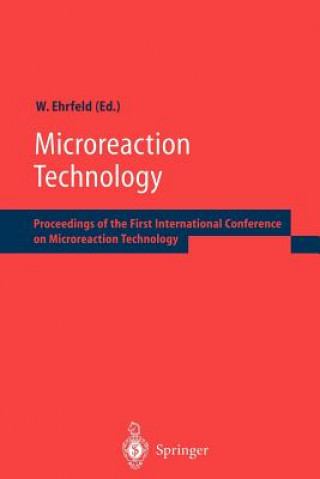 Microreaction Technology