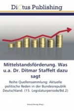 Mittelstandsfoerderung. Was u.a. Dr. Ditmar Staffelt dazu sagt
