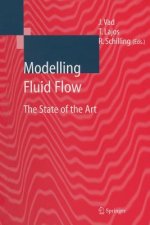 Modelling Fluid Flow