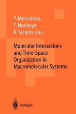 Molecular Interactions and Time-Space Organization in Macromolecular Systems