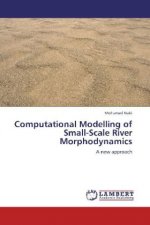 Computational Modelling of Small-Scale River Morphodynamics
