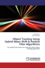 Object Tracking Using Hybrid Mean Shift & Particle Filter Algorithms