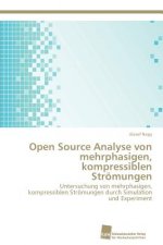 Open Source Analyse von mehrphasigen, kompressiblen Stroemungen