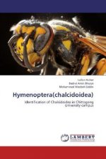 Hymenoptera(chalcidoidea)